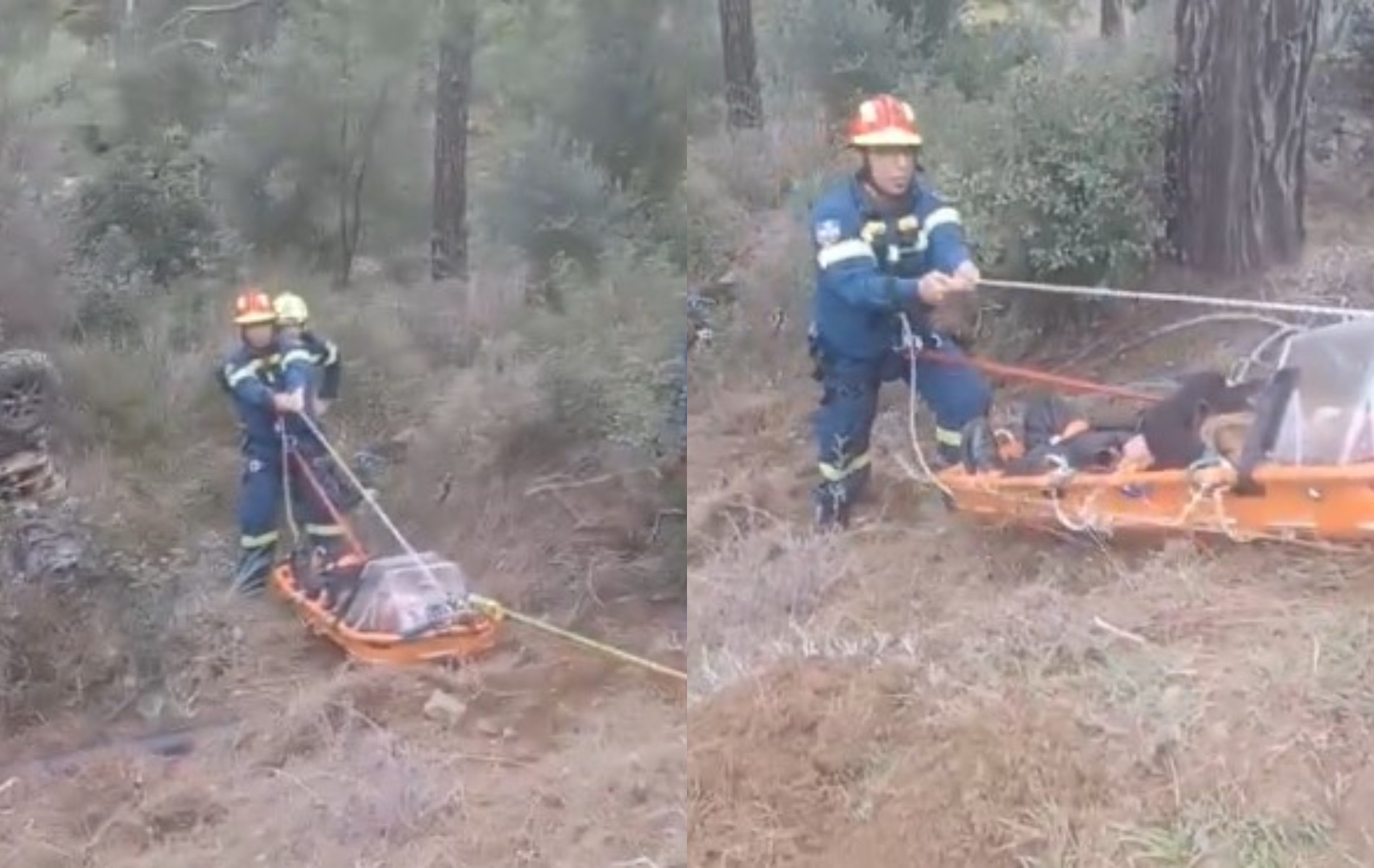 Έπεσαν με τετράτροχη σε χαράδρα 8 μέτρων, στήθηκε επιχείρηση διάσωσης  (βίντεο)