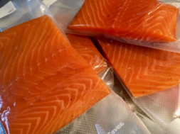 salmon.width-750