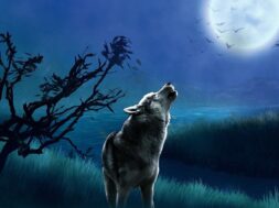 wolf-7296967_1280.2e16d0ba.fill-1375×729