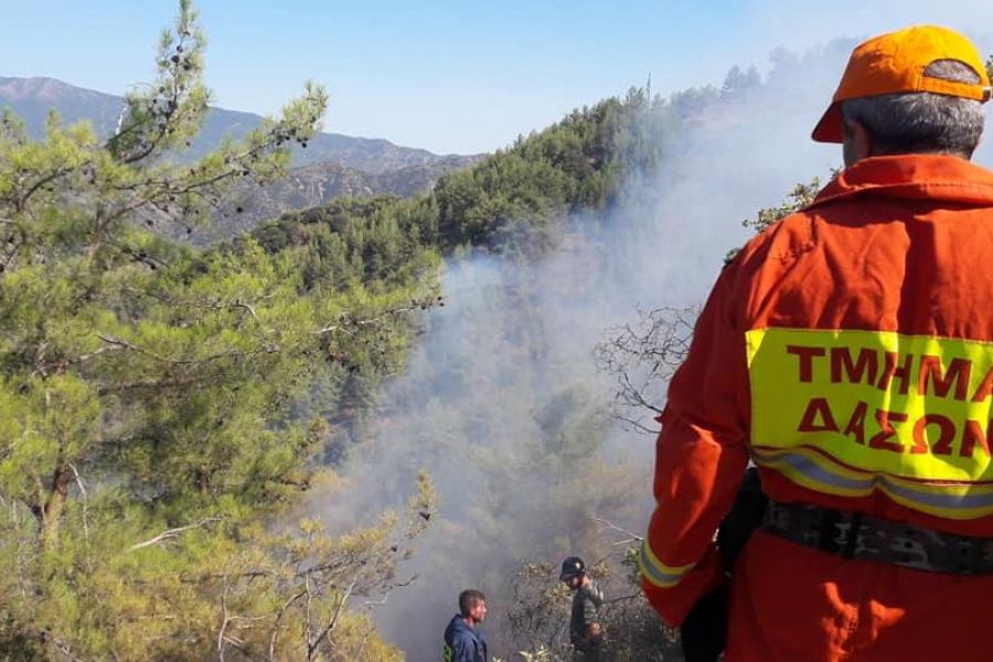 Μέτρα πρόληψης πυρκαγιών από Τμήμα Δασών – Επίτροπο Ορεινών Κοινοτήτων