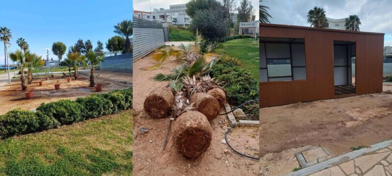 foinikes-luomeno-paralimni-2048×1152