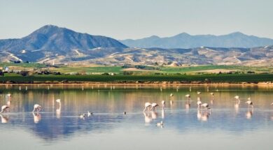 lake-7070737_1920-low-res-for-site-ready