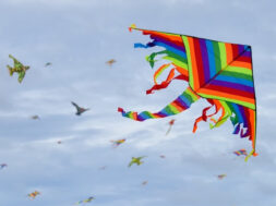 national-kite-flying-day_orig (1)