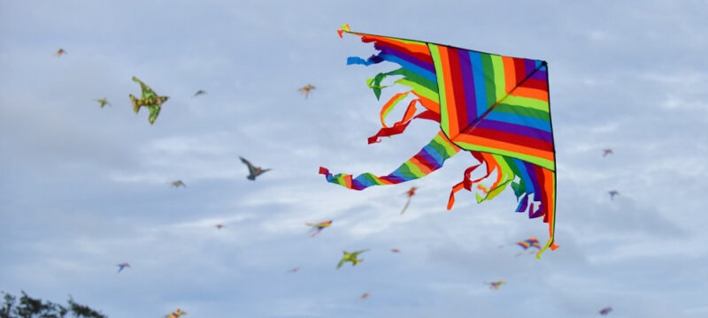 national-kite-flying-day_orig (1)