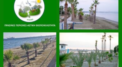 Copy of Copy of Blue and Yellow Travel Photo Collage Instagram Post  – 1