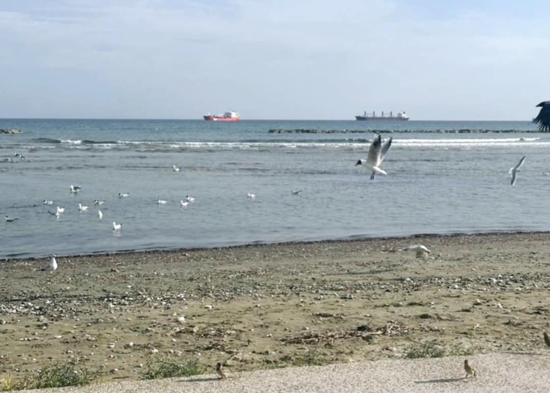 Η πρωινή ενημέρωση της ημέρας από τη Σκαλιώτισσα