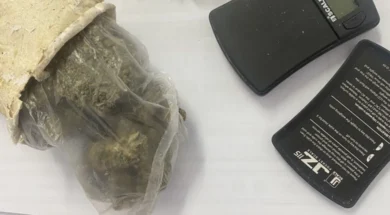 IMG-0c6d52ec887b770c12a65e137a403d8d-V-1170×780-1