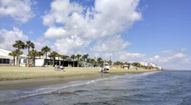 ac2f1137-7628-4729-8612-8d3847f7b528