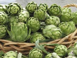 artichokes_b