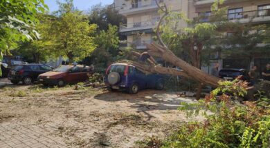 dentro-amaksia-epese-thessaloniki