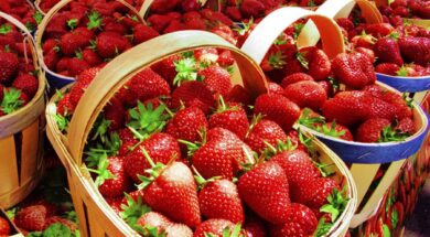 strawberry-salad.original