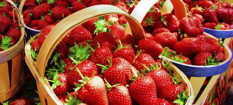 strawberry-salad.original