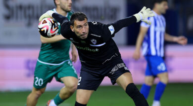 zivkovits-anorthosi