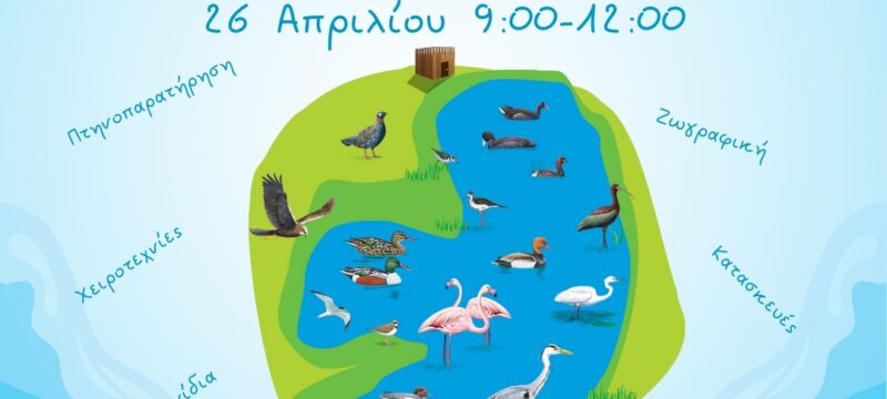 493311995_660531730174556_200072653056326184_n