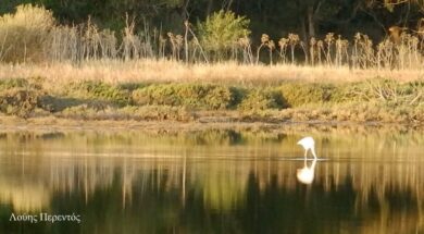 6abfdf8a-41ac-4a46-8610-fb63e07e9047