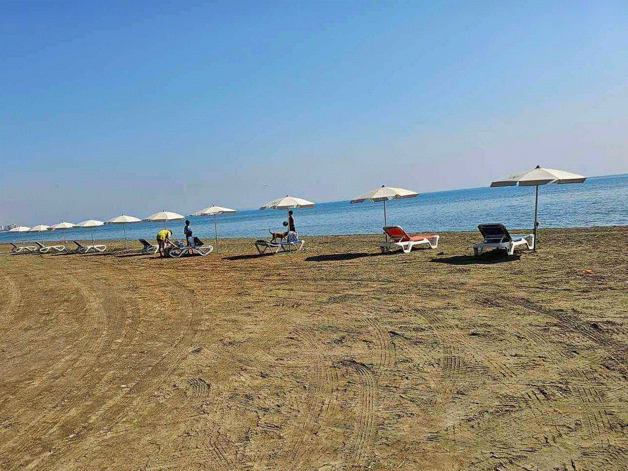 Λειτουργία Παραλίας Σκύλων στην Περιοχή Κασσιανές (Spyros Beach) στη Λάρνακα