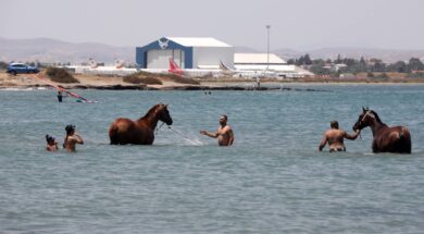 aloga-thalassa-larnaka