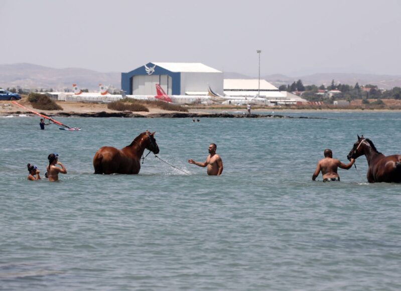 aloga-thalassa-larnaka