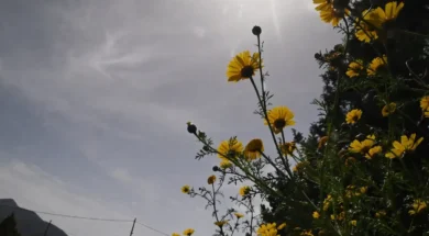 kairos_eurokinissi-4-1200×675