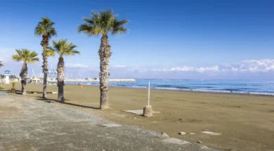 παρα-ία-finikoudes-πό-η-larnaka-κύπρος-65243944