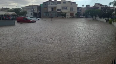 494357207_1238642261148965_8455429806573849092_n-thumb