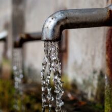 50308-sitesdefaultfilesfaucet-168.2e16d0ba.fill-1375×729