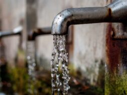 50308-sitesdefaultfilesfaucet-168.2e16d0ba.fill-1375×729