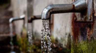 50308-sitesdefaultfilesfaucet-168.2e16d0ba.fill-1375×729