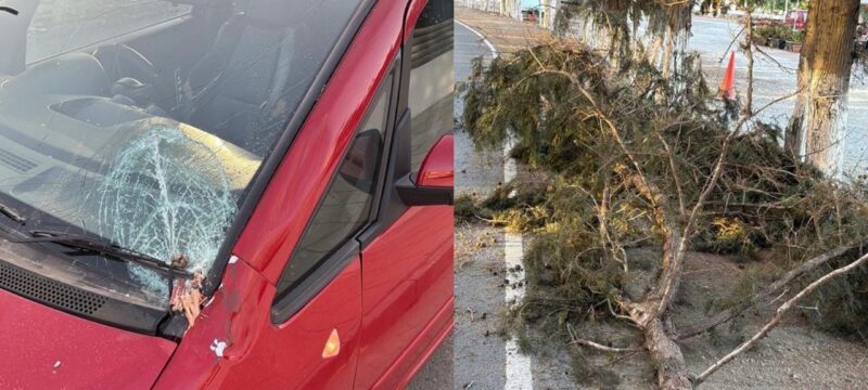 WhatsApp Image 2025-05-28 at 10.39.43