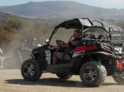 b_buggy