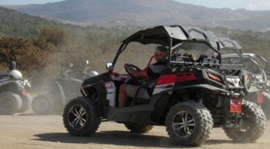 b_buggy