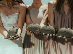 image3 (1)