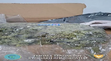 thumbnail_cannabis_2-thumb