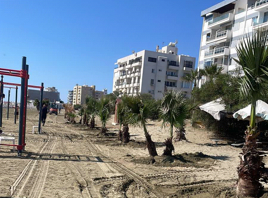 Πράσινες Παρεμβάσεις για την Αναβάθμιση του Παραλιακού Μετώπου Λάρνακας (φώτο)