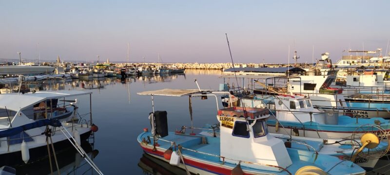 ΨΑΡΟΛΙΜΑΝΟ-1