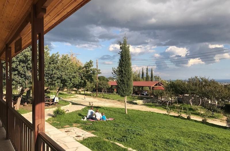 Θερινά σχολεία: Δεν θα εγκρίνονται συστηματικές δραστηριότητες σε δασικά πάρκα