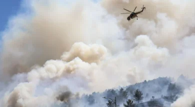 697607100cb987850d20849ddabef1bc_M