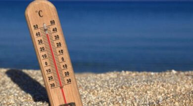 9d8ee0c60805f4e8ec89e94e5a9a9be8