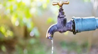 CBC3249A-86B2-44FF-B592-628B23C52CF3