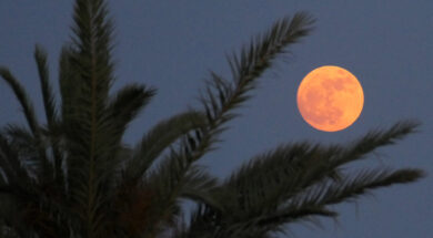 Ôï «ÖåããÜñé ôçò ÖñÜïõëáò» ç ðñþôç ðáíóÝëçíïò ôïõ êáëïêáéñéïý