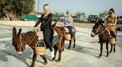 Larnaka Experiential Activities (2)