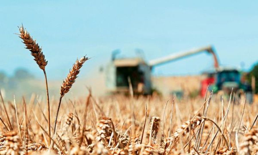 Υποβολή δηλώσεων ζημιάς από ανομβρία σε σιτηρά σε περιοχές Δήμου Αγίας Νάπας