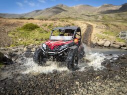 buggy-tours-cover