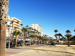 finikoudes-1
