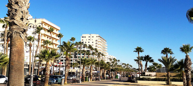 finikoudes-1