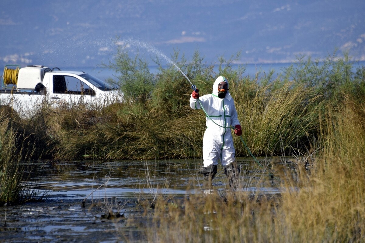 Προσωπικό της Υγειονομικής Υπηρεσίας του Δήμου σε εκπαιδευτική ημερίδα, σε σχέση με τη διαχείριση κουνουπιών