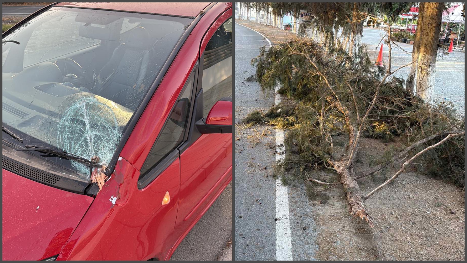 Στιγμές αγωνίας για οδηγό όταν κατέπεσε κλαδί στο όχημα του στον δρόμο Μενεού – Περβολιών