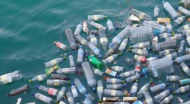 pp_252863_289428_type13262