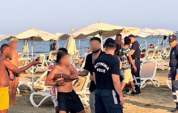 Δείξτε έλεος και σώστε τις Φοινικούδες πριν να είναι αργά