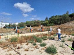 Εθελοντικός Καθαρισμός (3)